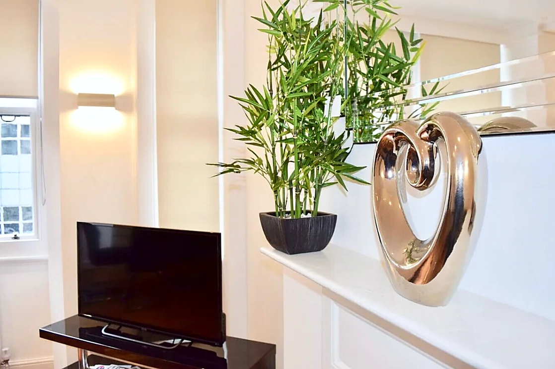 Living room detail by the fireplace